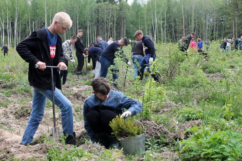 «Всероссийский день посадки леса»